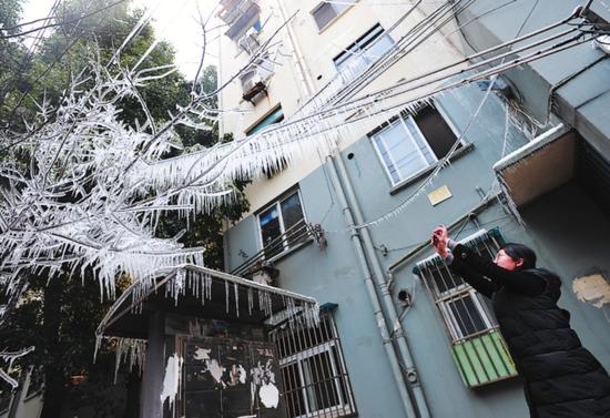 昨日,虎丘街道新庄社区一居民楼下,出现了一棵挂满冰凌的树,景象极为奇特,引得附近居民们争相来观赏、拍摄。原是一户居民家中水管爆裂漏水所致。记者 张健摄