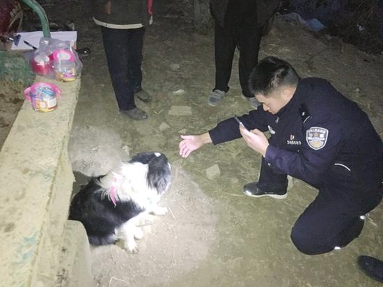 图为民警在为被盗犬只拍照登记。 □沈晨/摄