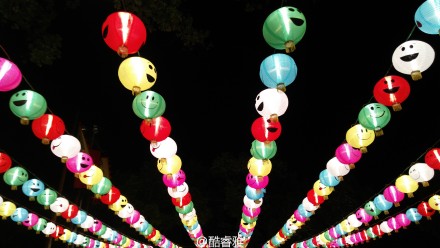 图片来自参与活动的网友们