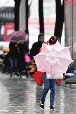 昨天苏城大风大雨堵堵堵 今天雨停降温冷冷冷
