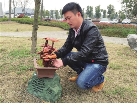 苏州80后高材生 种地一年收入至少60万