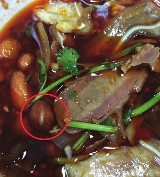 紫燕百味鸡夫妻肺片里吃到活蛆虫 店员回应:不