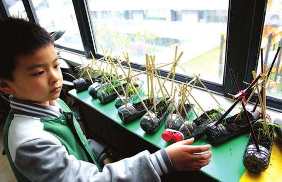 阳台变身植物角