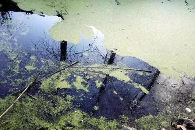 4名初中生相约游野泳 1人溺水同伴搭救双双溺亡