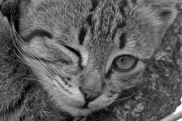 fifa14妖人-万博体育(官网)官方网站-万博体育app官网下载-ManBetX