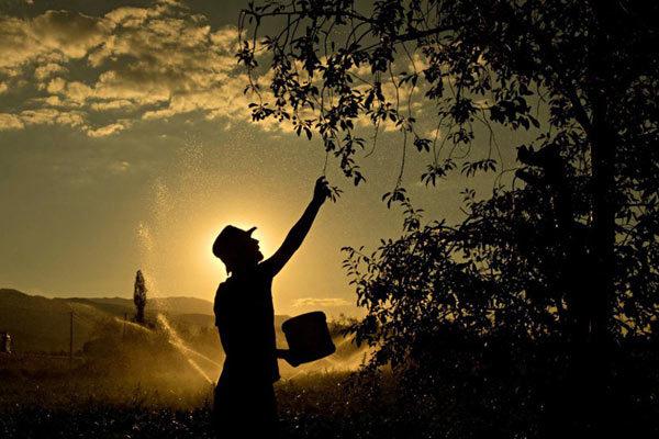 世界球星-万博体育(官网)官方网站-万博体育app官网下载-ManBetX