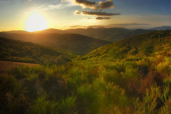 三都主-乐鱼app(leyu)官方网站-乐鱼官网