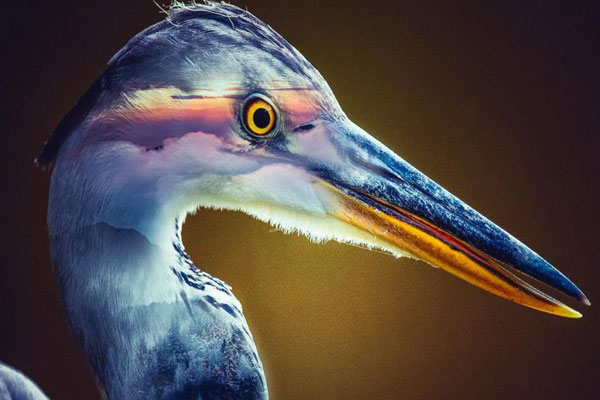 曼城 热刺-乐鱼app(leyu)官方网站-乐鱼官网