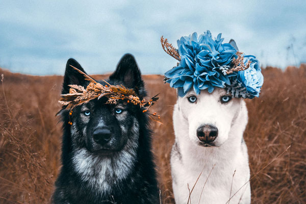 日皇杯-乐鱼app(leyu)官方网站-乐鱼官网