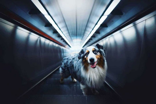 32岁的亨利-爱游戏App官方下载入口-爱游戏