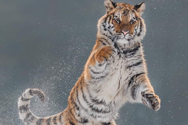 山东鲁能vs广州恒大