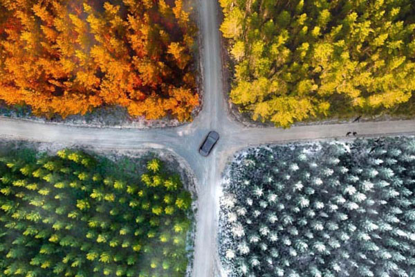 宁夏少儿频道直播-乐鱼app(leyu)官方网站-乐鱼官网