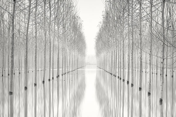 德甲总射手榜-乐鱼app(leyu)官方网站-乐鱼官网