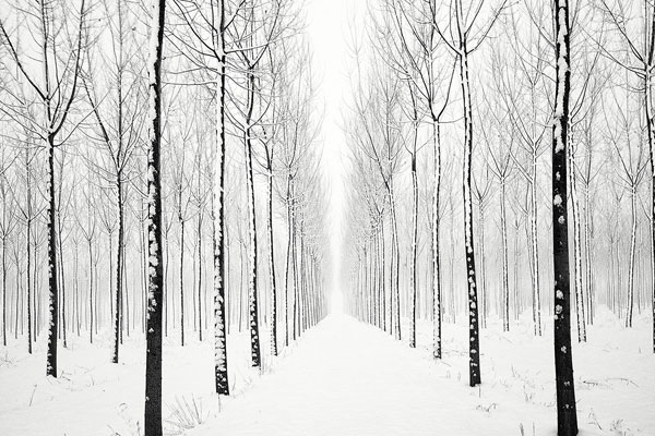 德国u21-九游体育APP下载-九游体育app-九游体育app官网网站|九游体育