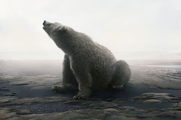 u20世界杯-乐鱼app(leyu)官方网站-乐鱼官网