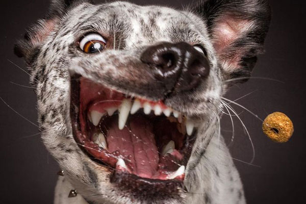 nba西部半决赛-乐鱼app(leyu)官方网站-乐鱼官网