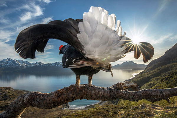 亚锦赛赛程-乐鱼app(leyu)官方网站-乐鱼官网