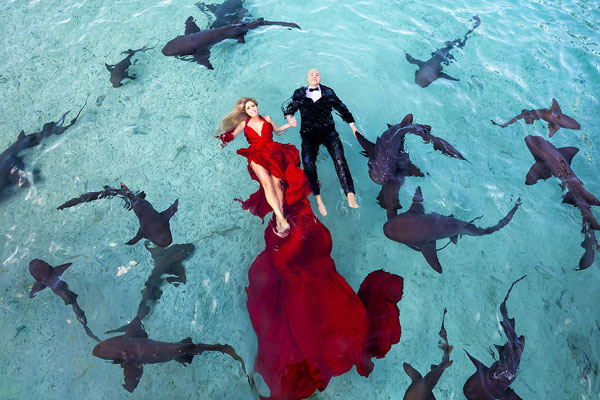 利物浦vs曼联 直播-乐鱼app(leyu)官方网站-乐鱼官网