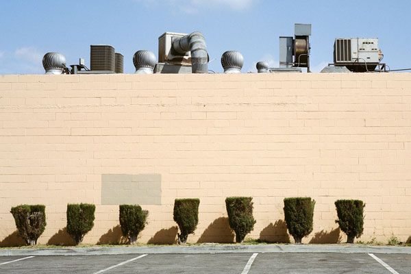 梦十vs尼日尼亚-乐鱼app(leyu)官方网站-乐鱼官网