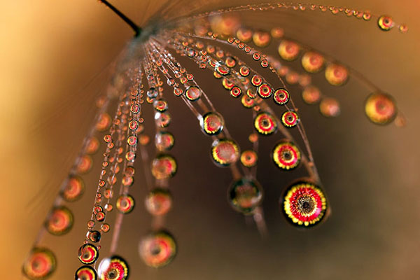 2012尤文图斯阵容-乐鱼APP下载-乐鱼体育app-乐鱼体育官网网站|乐鱼体育