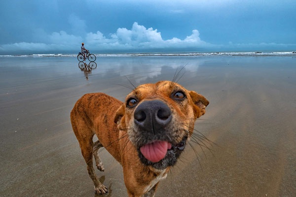 阿根廷加戈-乐鱼app(leyu)官方网站-乐鱼官网