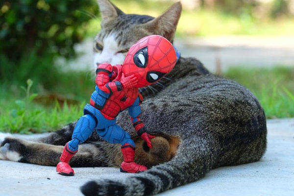 工资帽和奢侈税-乐鱼app(leyu)官方网站-乐鱼官网