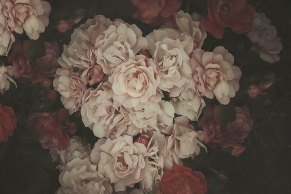 郑雄-乐鱼app(leyu)官方网站-乐鱼官网