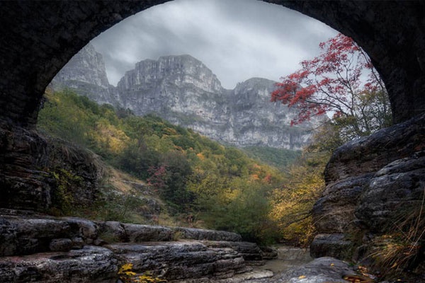 拜仁中国行-爱游戏(ayx)官网网站_ayx.com