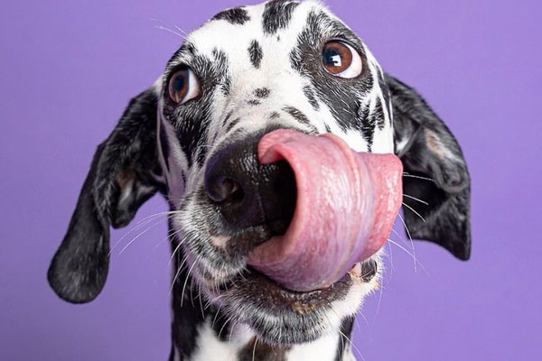 武汉电视台直播-乐鱼app(leyu)官方网站-乐鱼官网