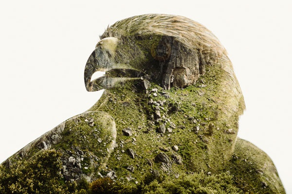 世界杯足球直播-乐鱼app(leyu)官方网站-乐鱼官网