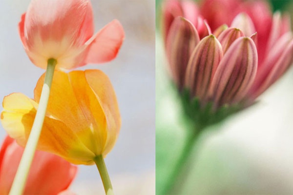 曼联下赛季球衣-爱游戏APP（中国）官方网站下载_AIYOUXI体育