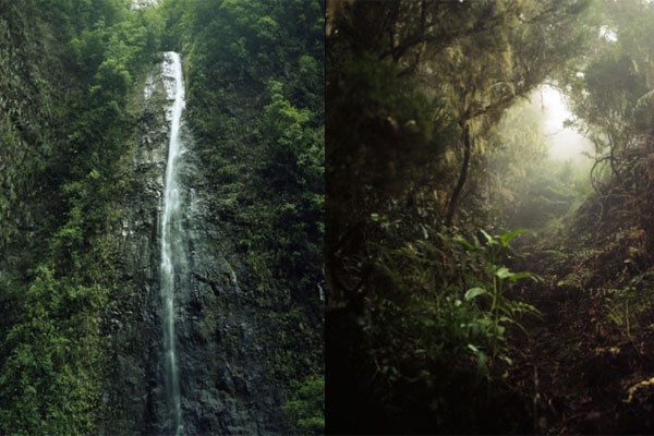 法布雷加斯转会-九游体育APP下载-九游体育app-九游体育app官网网站|九游体育