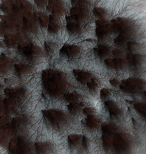 火星蜘蛛状奇特地形:干冰升华形成