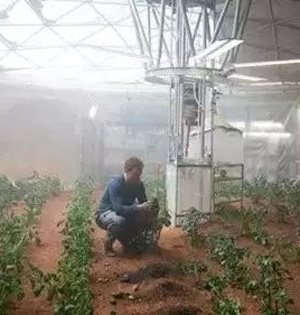 NASA将秘鲁模拟火星种土豆 NASA将秘鲁模拟火星种土豆