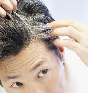 科学家发现灰发基因:推迟头发变白