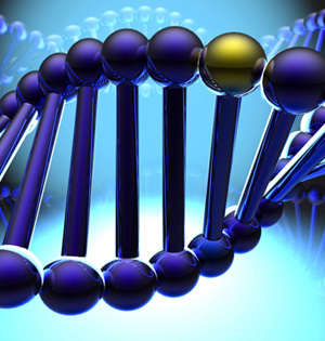 最小基因组合成：向生命之谜迈进