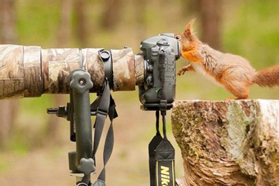 小白学摄影：假期归来如何把图修好看