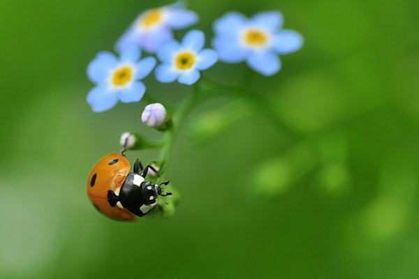 广州恒大vs天津泰达-乐鱼app(leyu)官方网站-乐鱼官网