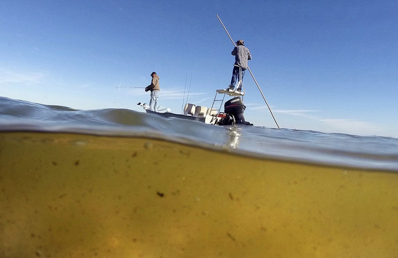 生态危机：美国水域遭到藻类毁灭性攻击 触目惊心