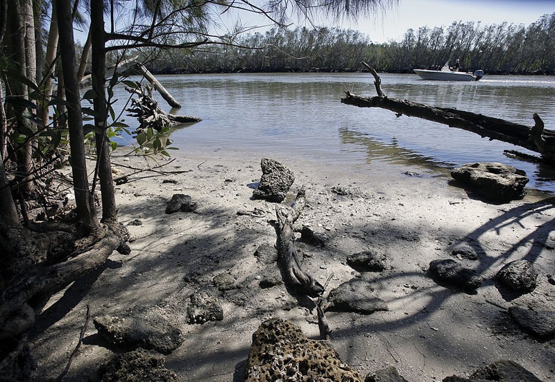 生态危机：美国水域遭到藻类毁灭性攻击 触目惊心