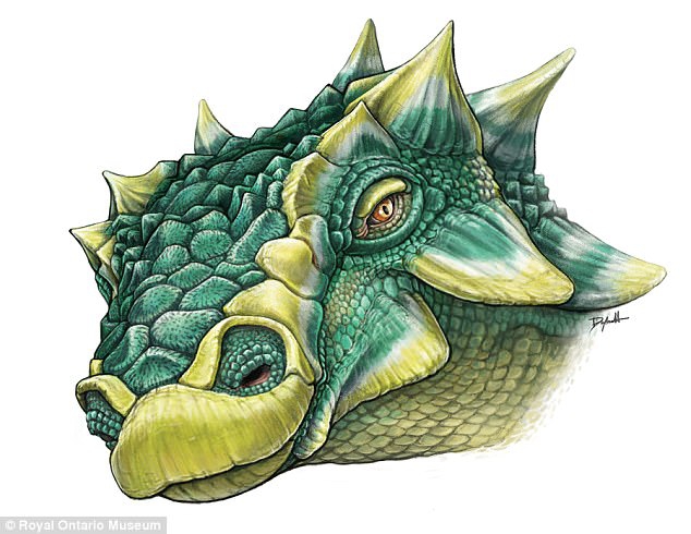 dZGi-fyeyqem3570741.jpg