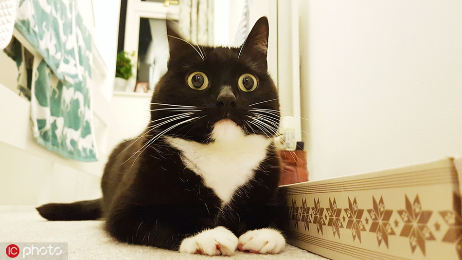 a045-ifffquq2046866.jpg