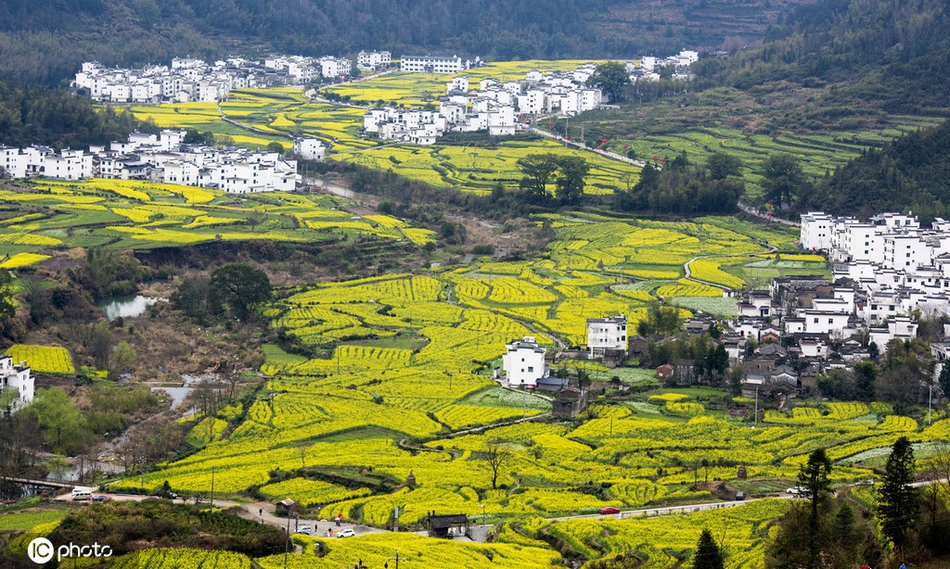 段莘乡人口_婺源县段莘乡老王村