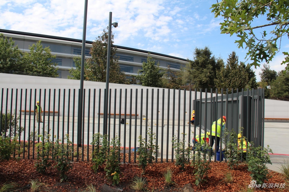 Apple Park主体建筑。