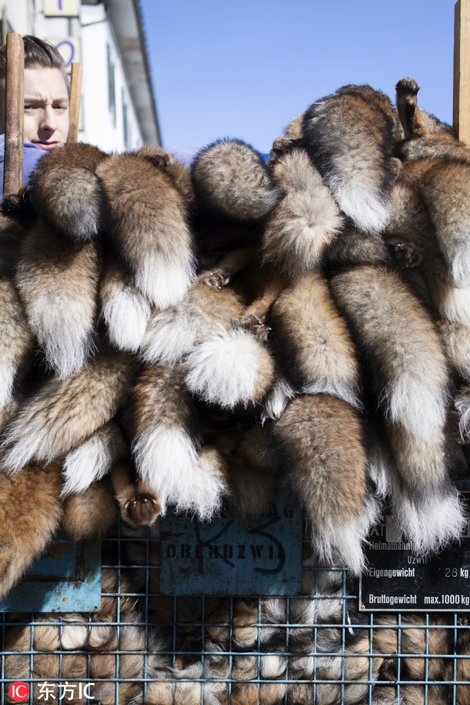 MraO-hukwxnu9763805.jpg