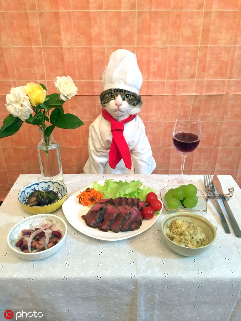 cosplay美食教程,cosplay吃饭