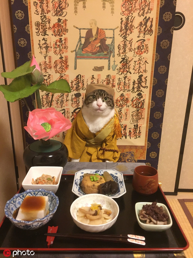 cosplay美食教程,cosplay吃饭