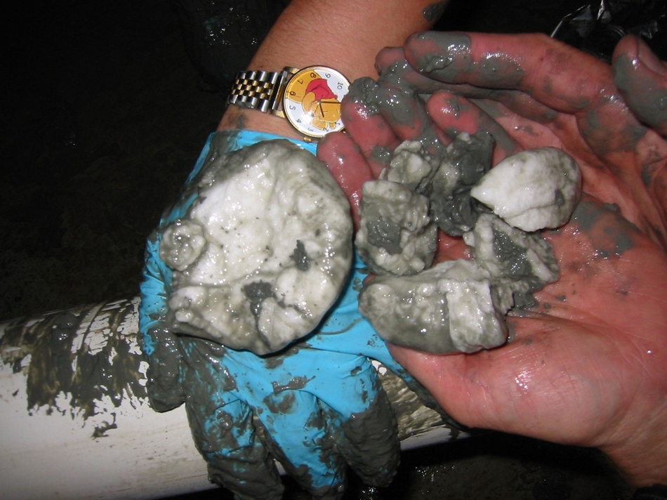 海底深处沉睡的能量 神秘可燃冰长这样(组图)