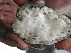 海底深处沉睡的能量 神秘可燃冰长这样(组图)