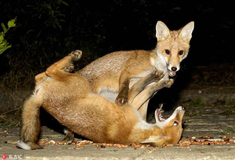 同城约泡：当温泉社交成为都市青年的新式解压方式解析